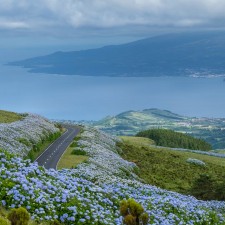 Fibrenamics em projeto Inovador para Proteger a Biodiversidade dos Açores