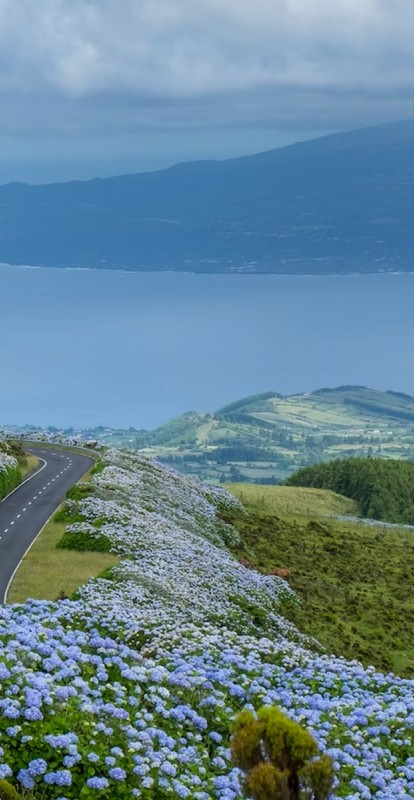 Fibrenamics Launches Innovative Project to Protect the Biodiversity of the Azores Islands