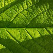 Lisbon hosts the 7th edition of ICNF – International Conference on Natural Fibers