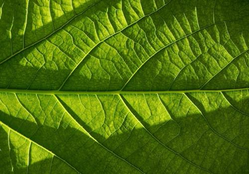 Lisbon hosts the 7th edition of ICNF – International Conference on Natural Fibers