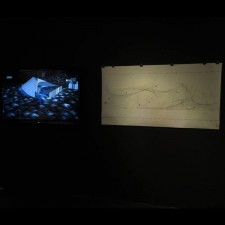 Fibrenamics from the University of Minho at the Venice Biennial