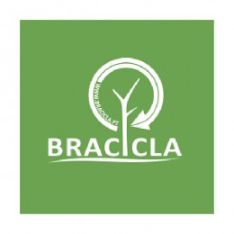 Bracicla