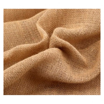 Nano-Engineered Multi-functional Composites Based on Plant Fibres
