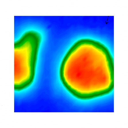 Optimizing the Natural Fibre to Resin Interface for Biocomposite Applications