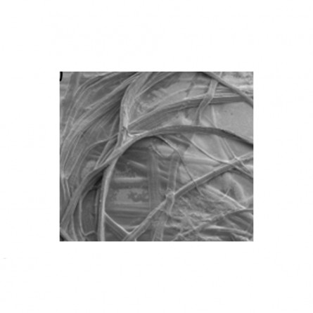 Green composites: the next generation of sustainable materials