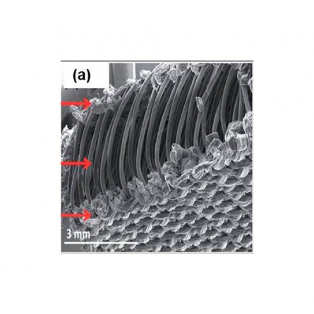 Fibrous and Textile Materials for Energy Harvesting and Storage